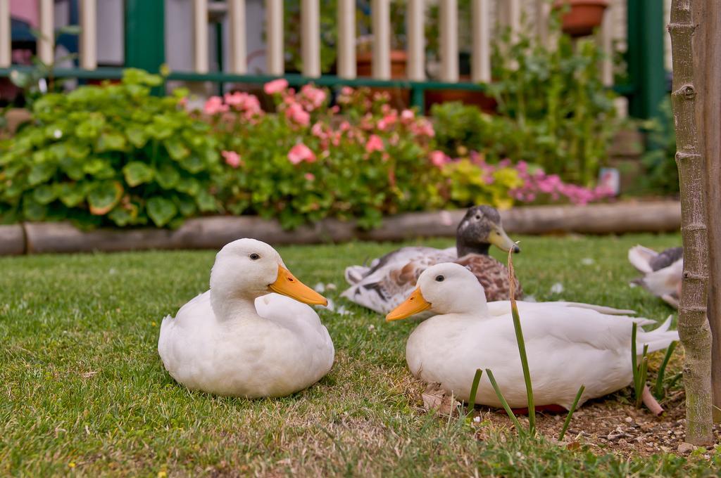Warragul Gardens Holiday Park Экстерьер фото